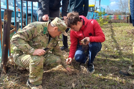 Республикалық «Жасыл апта» экологиялық челленджі аясында «Елецкий орта мектебінің» КММ оқушылары «Көкшетау» МҰТП РММ өкілдерімен бірлесіп, мектеп аумағында қарағай көшеттерін отырғызу жұмыстарын жүргізді.